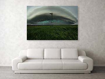 Center of Attention  - Canvas Print
